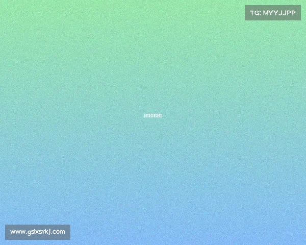 樊振东赛事表现